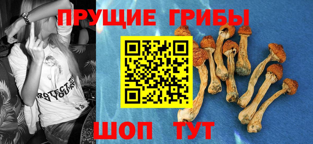 Галлюциногенные грибы Magic Shrooms  купить наркоту  Саянск  Вход с VPN  Галлюциногенные грибы Magic Shrooms 