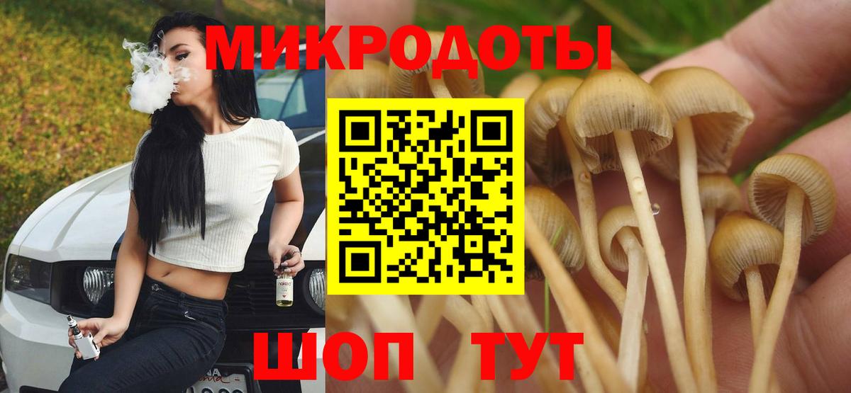 Галлюциногенные грибы Psilocybine cubensis Саянск